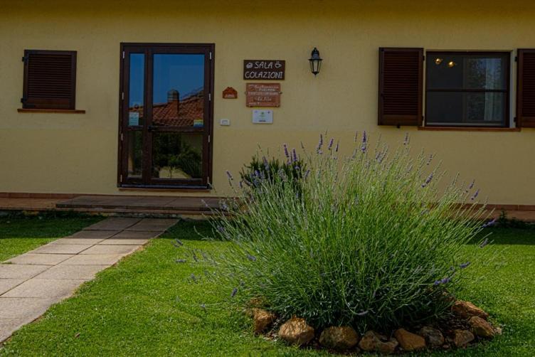Agriturismo La Fata Grosseto Luaran gambar